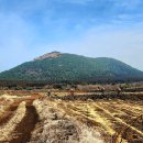 동거목장 이미지