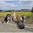 행복한아이유치원 이미지