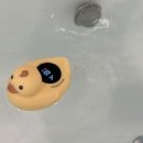 세신샵 스파플러스 이미지