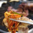 시집못간돼지2