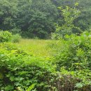 돌석도예박물관 이미지