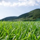 상주한려해상체육공원(천연잔디) | 경남 남해군 상주한려해상체육공원