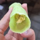 NO.1 POM | [태국 방콕] 수상시장 &amp; 기찻길 &amp; 아유타야 단독차량으로 캐리어 숙소 이동까지 한번에!