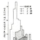 제오라이트는 마법의 돌 이미지