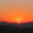 선택