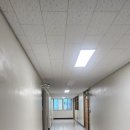 내리숲초등학교 이미지