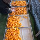 지리산 하늘아래 이미지