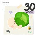 일리그루밍 | 2025.10(3)