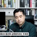 폭스그라운드 이미지