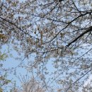 원신근린공원 이미지