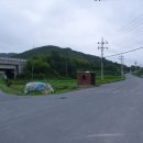 제내2리 Daum카페