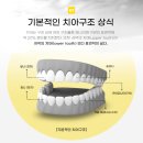 닥터유치과의원 이미지