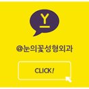 눈의꽃성형외과의원