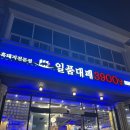 속초대패 티스토리