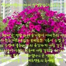 다울에듀 이미지