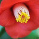 향일암로 이미지