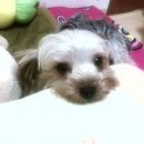 부흥초등학교 이미지