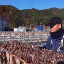 김천수산 티스토리