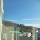 우신공인중개사무소 이미지