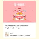 모던펫