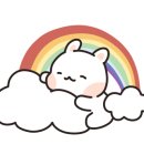 아포르 이미지