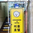 내야내야 똥강아지 이미지