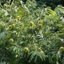 바다와 시인 민박 이미지