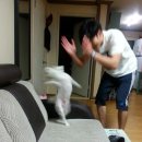 금성약국 | 광진구 드럼 레슨 :: 시운랩 실용음악학원 드럼 원데이클래스 후기