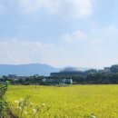 한라시티부동산공인중개사사무소 이미지