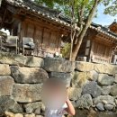 스테이 말래 이미지