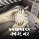 제철전기 | 암꽃게제철 시기, 꽃게비린내 생선비린내 제거 10초 컷 스텐비누 후기