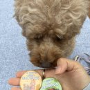 행운캔넬 이미지