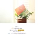 움튼산부인과의원 이미지