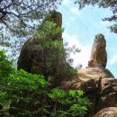 2025년 11월 정기산행 -제천 동산(896m) 이미지