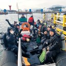 타이어천지 이미지