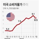 바로물가 이미지