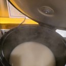 조이풀독 | 구리 갈매동 해탄 오징어볶음 맛집｜오픈 후 대기 필수! 재방문 100% 후기