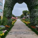 올라스풀빌라펜션 이미지