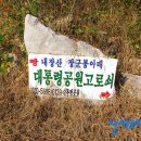 추령주유소 Daum카페