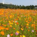 달콤한 푸른농장 이미지