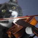 동네악기사 이미지