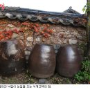 330장금이 이미지