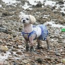 고대도3 이미지