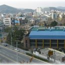 동초등학교사거리 이미지