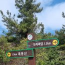 엄지 4월 정기산행 청산도 이미지