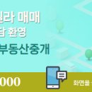 미라클알파부동산중개 이미지