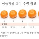 몽이네일 이미지