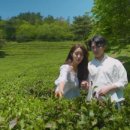 (주)한국홍보연구소 이미지