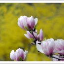 좋은생각 이미지