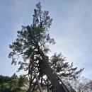 한라산신제단 이미지